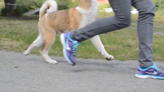 EMPRESS FIKE OSTAP BENDER смотреть онлайн