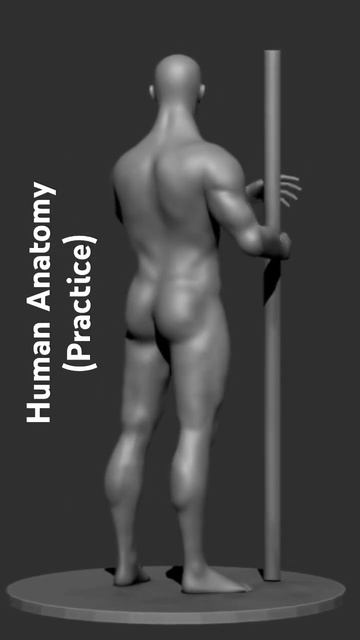 Practicing on human anatomy, sculpture #zbrush #art #3dart #3ddesign #share #like #comment