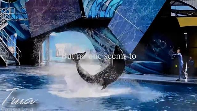 [In My Eyes] - Trua