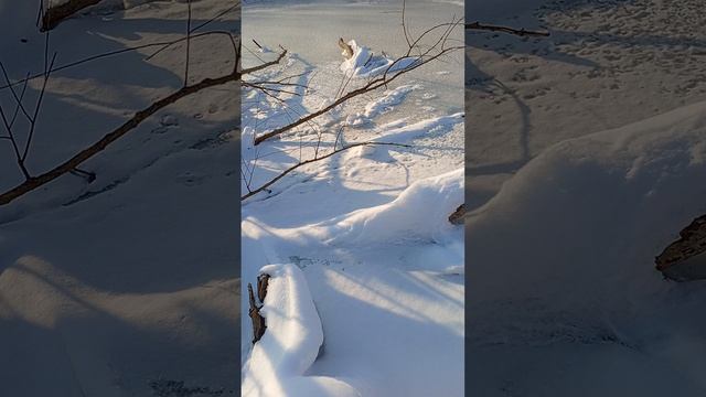 ❄️Горячие🔥новости 🍷