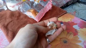 Проверяю ножи для рейсмуса, строгаю доски для забора.