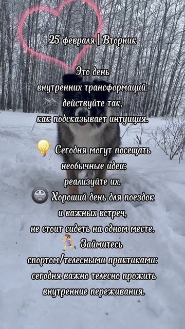 Энергии дня. Вторник