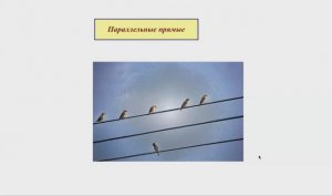 Параллельные прямые.