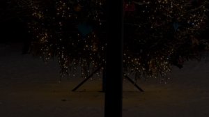 Тюмень День и Ночь