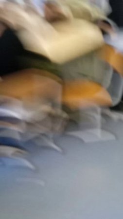 бунт