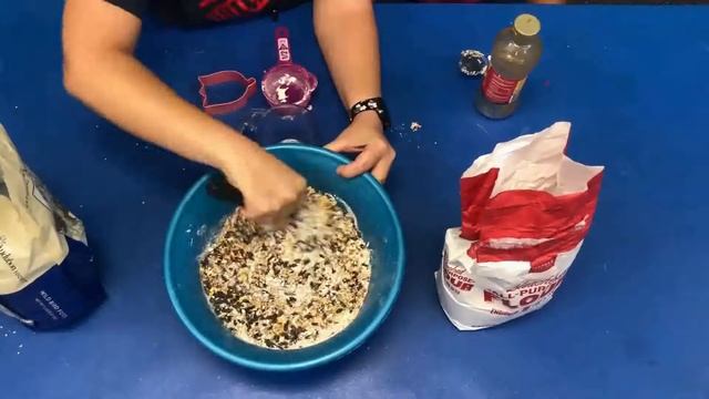 Virtual Program/ STEM Bird Feeder