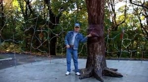 Александр Ренуар  ,,Ничего на свете лучше нету,,