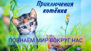 ПРИКЛЮЧЕНИЕ КОТЕНКА