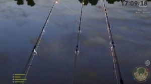 Как ловить без ПВА? Это реально или МИФ??? ● Русская Рыбалка 4 | РР4