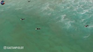 RILTIM, DNDM, ROUDEEP, ADIK, ENZA, DAVIT BARQAIA, IMAZEE, ZUBI, HUSSEIN ARBABI,MZADE, GHAMARNI#9.mp4