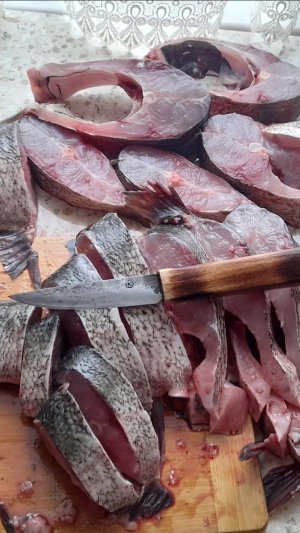 Oblynka knife