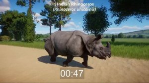 Rhinoceros Species Races in Planet Zoo included Black Rhino, White Rhino and Indian Rhinoceros