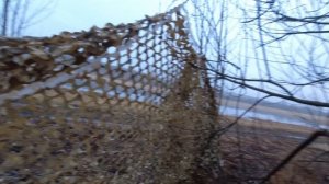 весенняя охота на уток 2024