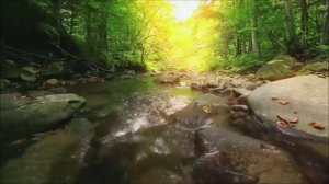 Сура 92 Ночь