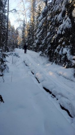 23февраля,вечер.Лыжи 20км,после бега и моржевания, более подробно в длиных видео 23.02.25