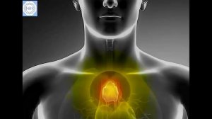 Матрица Гаряева - Волновой иммунитет #гаряев #матрицагаряева