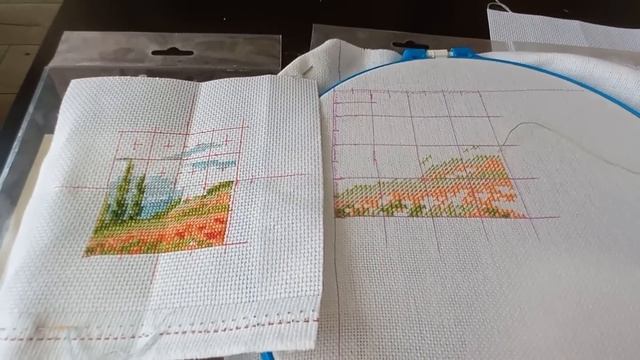 24-5 Мои многоцветки. Продвижения. Яркие георгины. Вышиваю один процесс. Планы, покупки смотреть онлайн