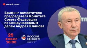 Брифинг заместителя председателя Комитета Совета Федерации по международным делам Андрея Климова