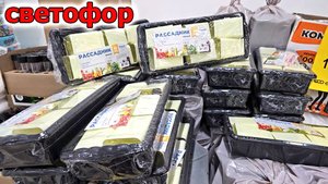 Магазин Светофор не оставляет никакого шанса. Без покупок точно  не уйти. Февраль 2024