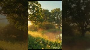 На свидание