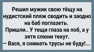 Как Зять Тещу На Нудистский Пляж Сводил! Сборник Свежих Анекдотов! Юмор!