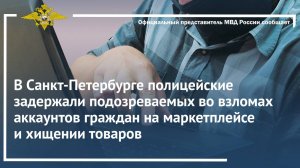 В Санкт-Петербурге полицейские задержали подозреваемых во взломах аккаунтов граждан на маркетплейсе