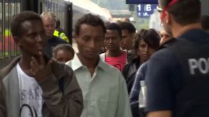 Перевозка наркотиков нелегалов