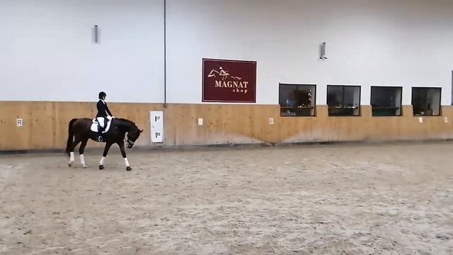 Отправить смотреть онлайн