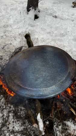 Закалка гонга в лесу