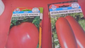 Мой домашний рассадник..   Какие помидоры я сею. Обзорчик семян..