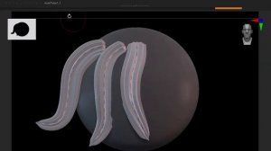 Multi Curve Hair 1, ZBrush IMM Curve Brush