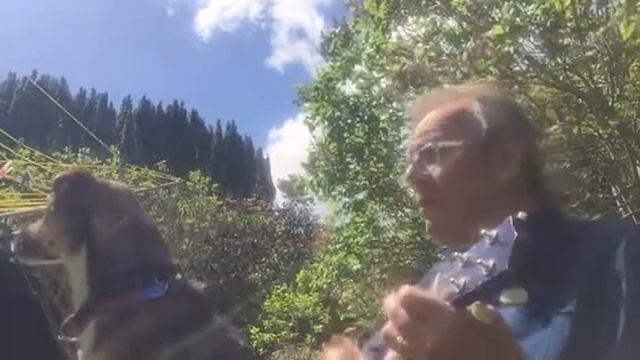 O Lord Wont You Buy Me a Mercedes Benz