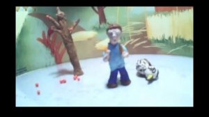 В мире птичьих новостей