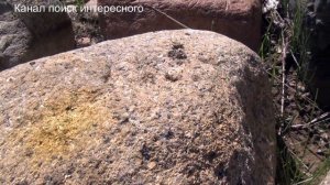 Золотые вкрапления в речных камнях