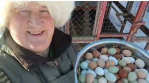 ПОЧЕМУ У МОИХ КУР ЛУЧШАЯ В РОССИИ!!! ЯЙЦЕНОСКОСТЬ!!! 24.02.2025 год!