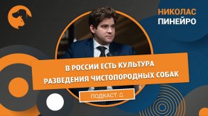 Николас Пинейро: "В России есть культура разведения чистопородных собак"