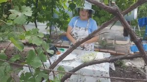 1.Купили дом на юге. Переехали с Татарстана на юг. Обустраиваемся и восстанавливаем старый дом