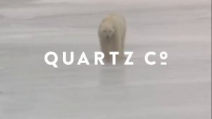 QUARTZ CO. Holidays / Fêtes 2020-21