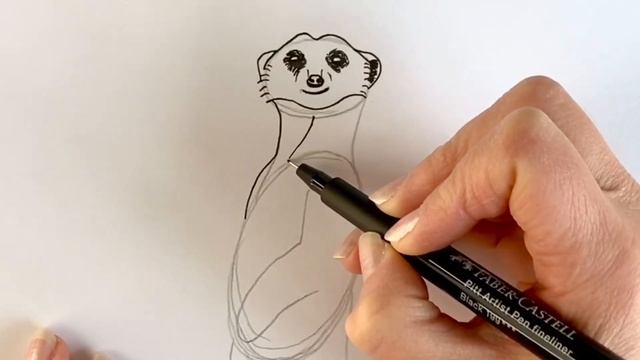 How to draw a realistic MEERKAT смотреть онлайн