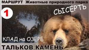 Тальков камень.