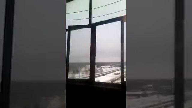 Мой кот наказан