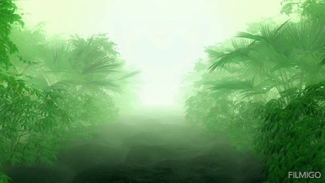 Tropical