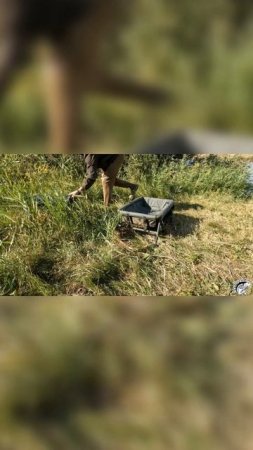 Безопасность для карпа.