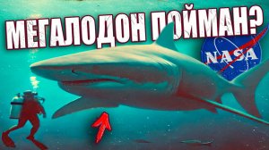 Размышления про странные слухи вокруг мифической подводной лаборатории НАСА в Тихом океане