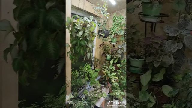 1000007945.mp4