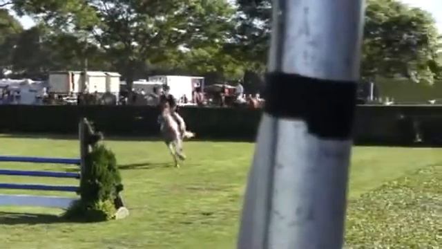 Video of WARRIOR ridden by JOSEPHINE RUBIN from ShowNet! смотреть онлайн