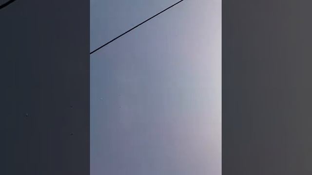 Выпустил расправить крылья смотреть онлайн