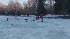 На запуске работают приманки с рыжими тонами. Клёвое место, Лосиный остров, нижний водоём.