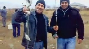 рыбалка в мингечауре (азербайджан)-3