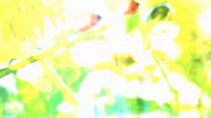 Отличная музыка Сергея Грищука, антология, лечебная музыка, возвышенная музыка.